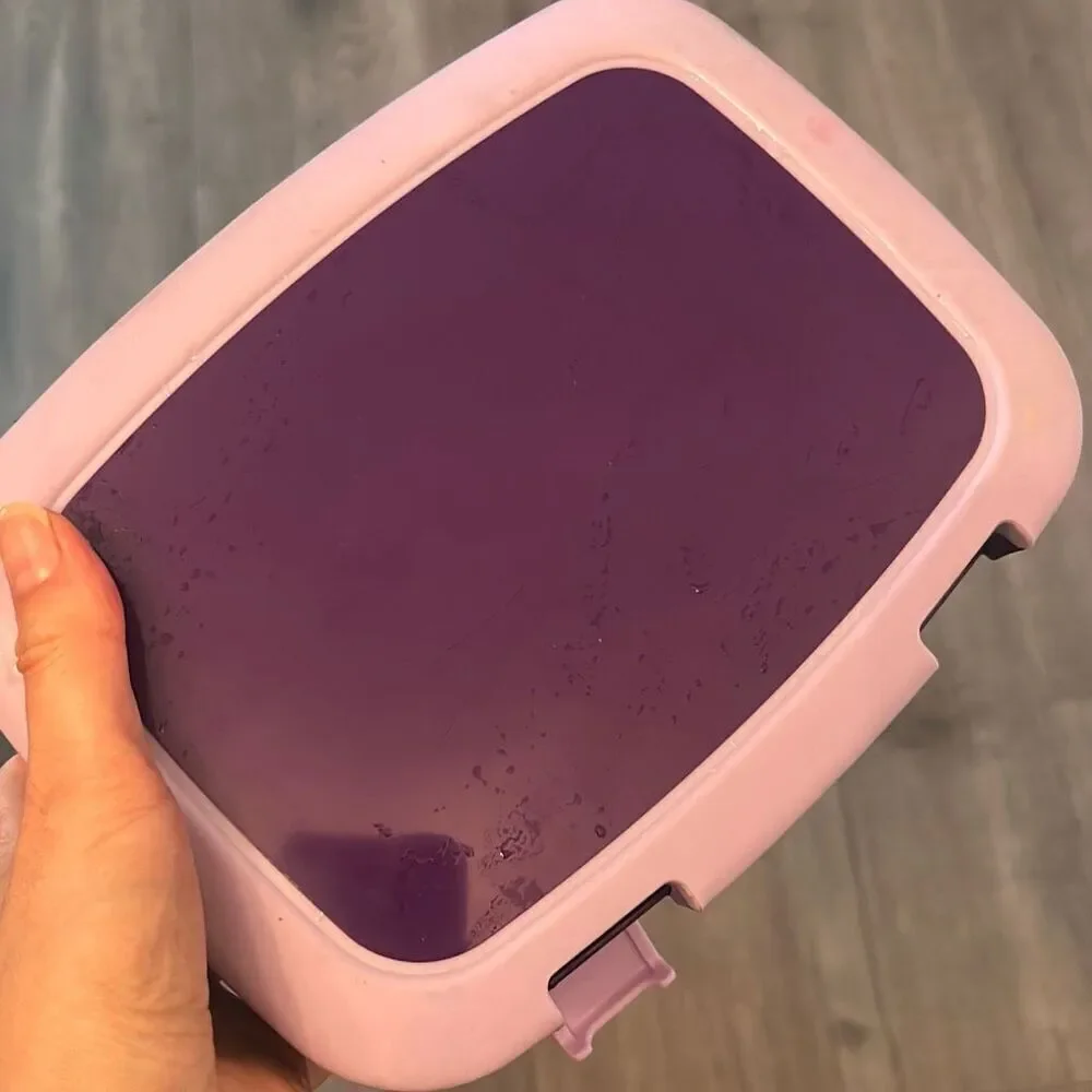 Bentgo Kids Durable & Leak-Proof Children’s Lunch Box Unicorn Print used